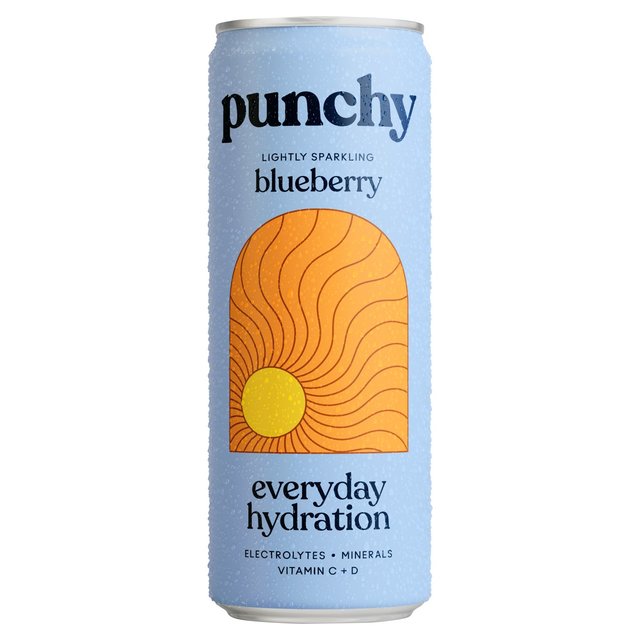 Punchy Everyday Hydration Blueberry Drink 330ml