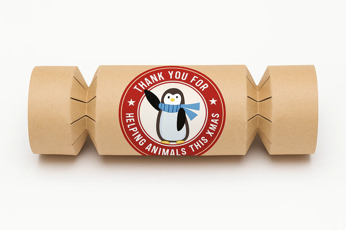 Vegan Christmas Crackers (Box of 4)