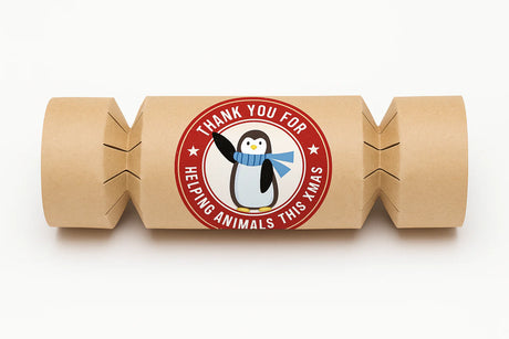 Vegan Christmas Crackers (Box of 4)