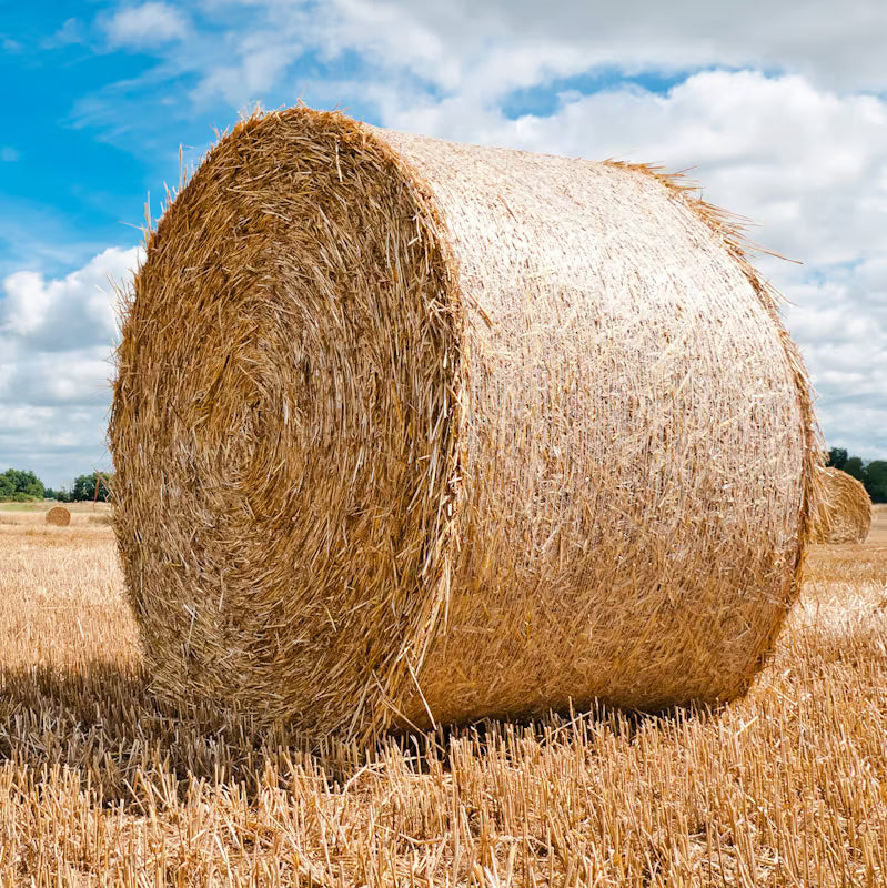 Hay Bale for the Animals (Virtual Donation)