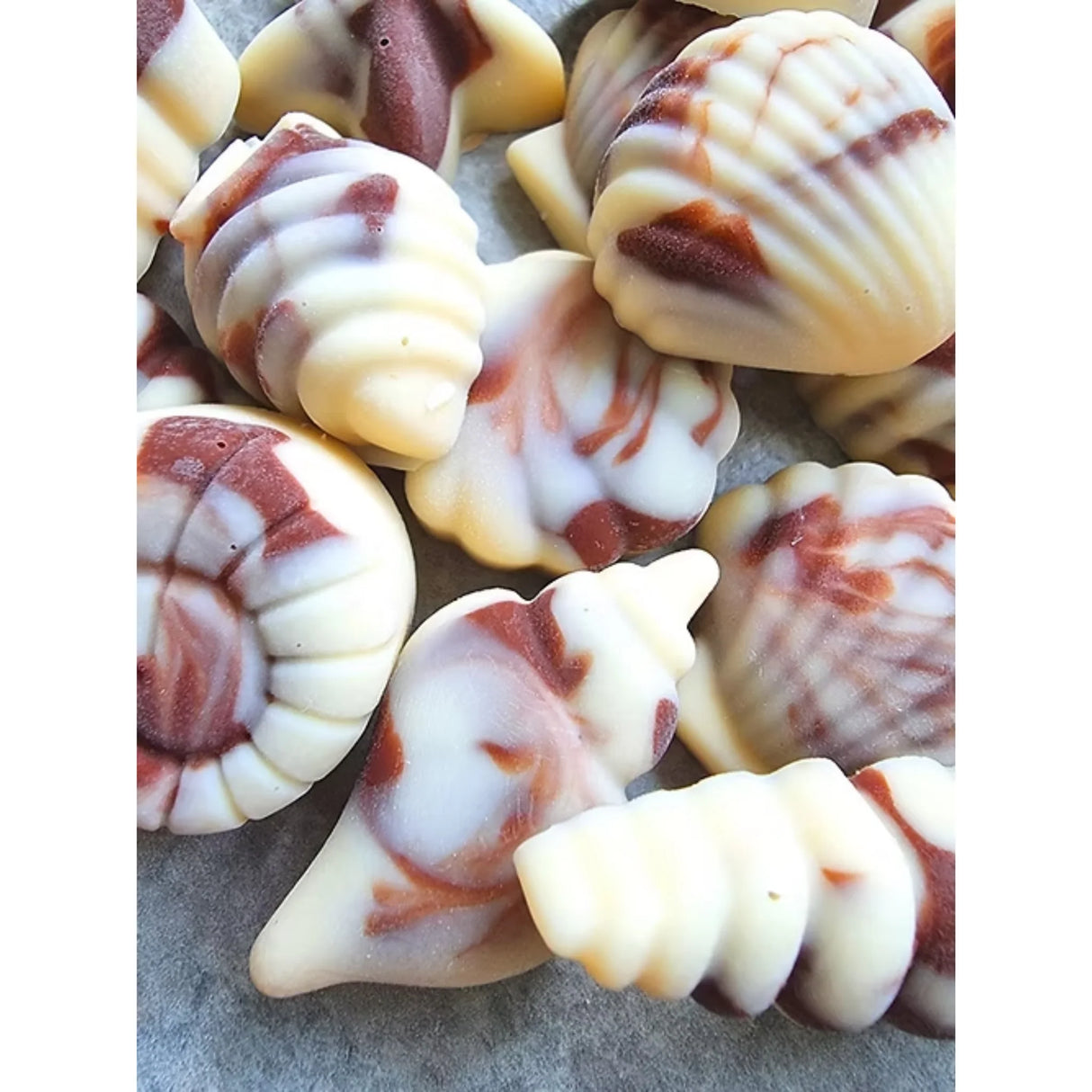 Taffy & Co Vegan Belgian Chocolate Seashells 100g