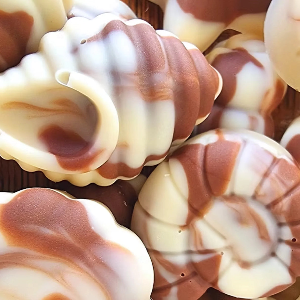 Taffy & Co Vegan Belgian Chocolate Seashells 100g