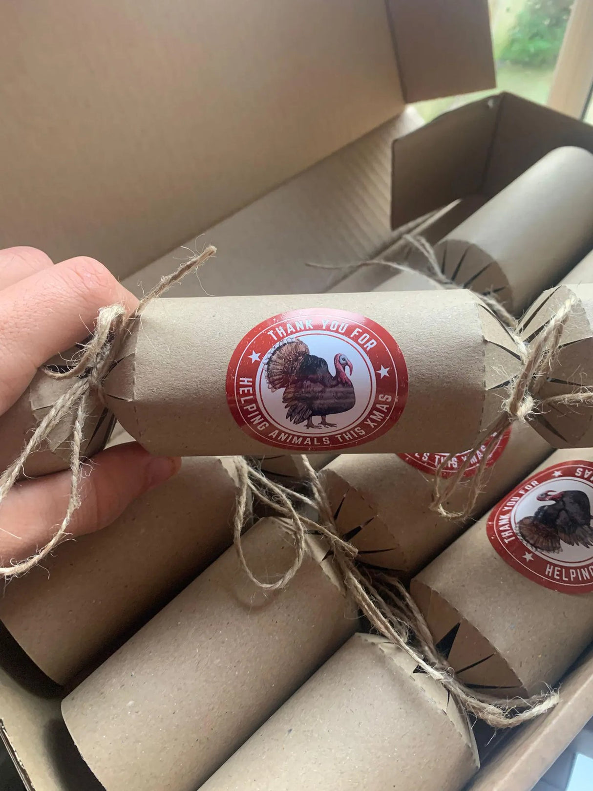Vegan Christmas Crackers (Box of 4)